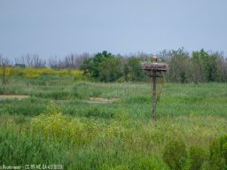 IMGP0301